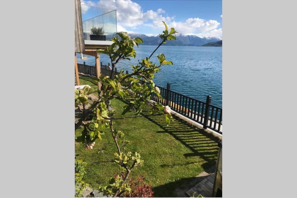 Panoramaresort In Hardangerfjorden Leilighet I Sjokanten Ved Hardangerfjorden For 7 Personer Boat , Sauna,Kajak, Sup For Rent Ойстезе Экстерьер фото